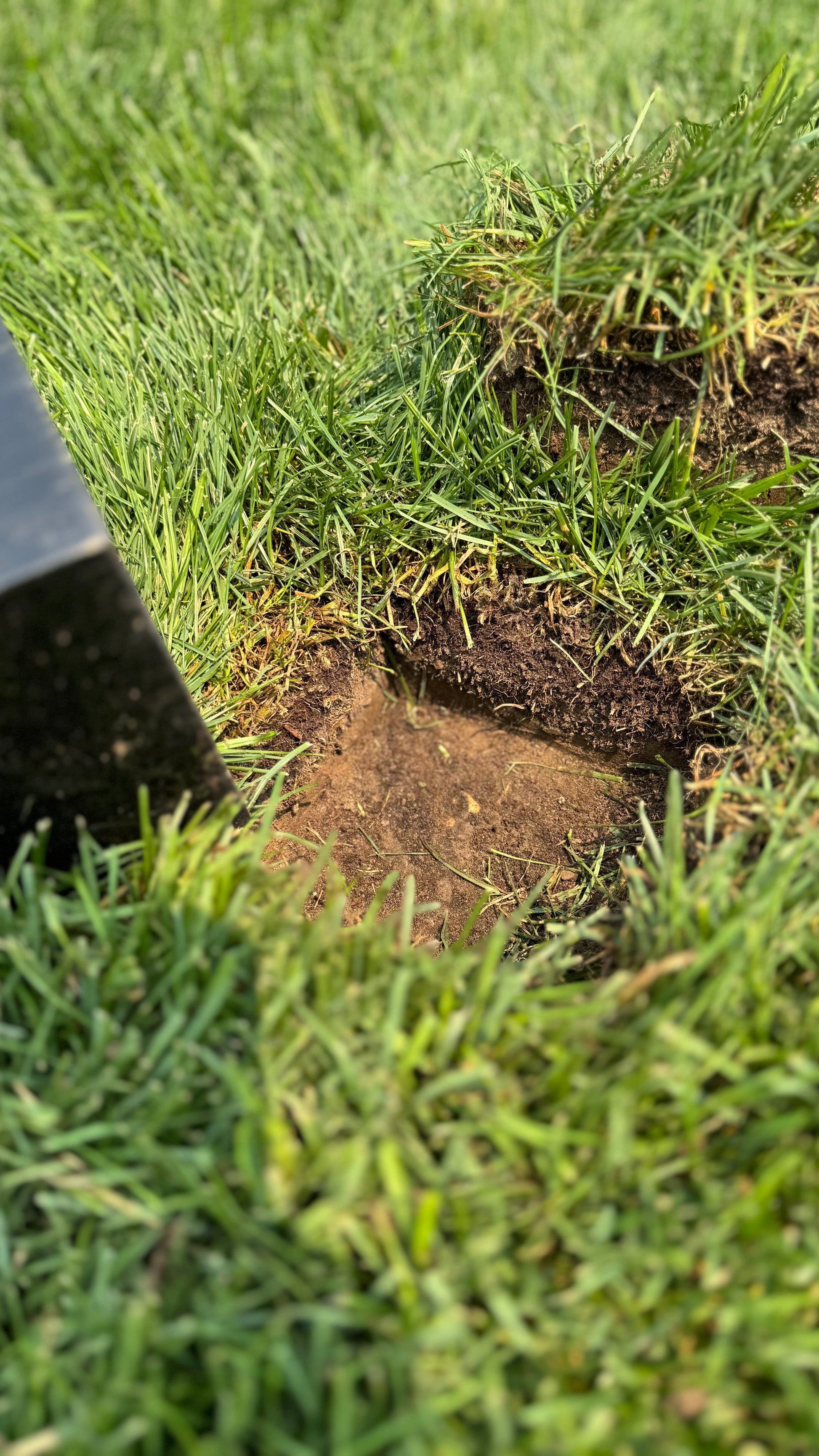 sod plug replacement  OTL 
