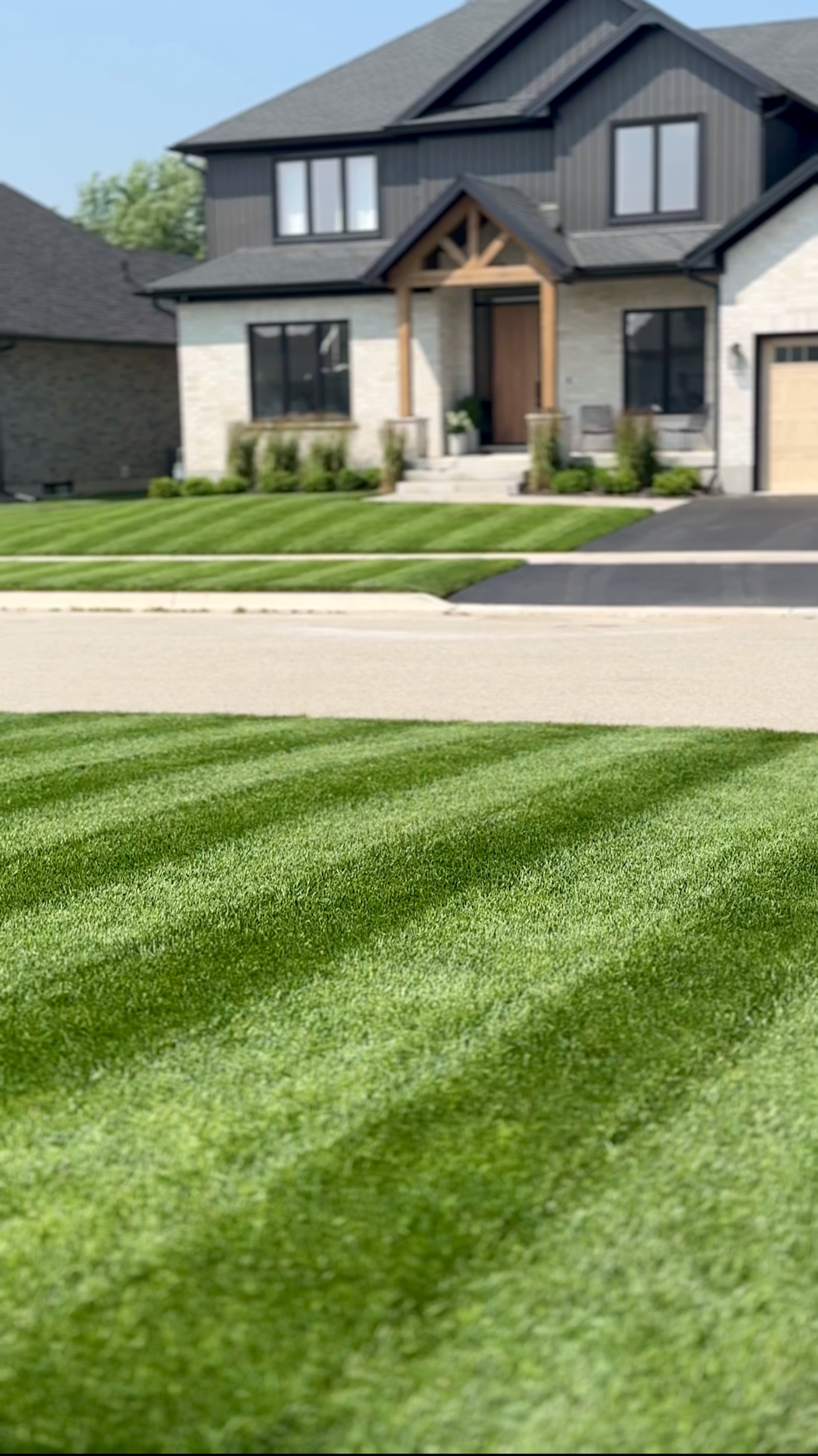 lawn stripes on Kentucky blue grass